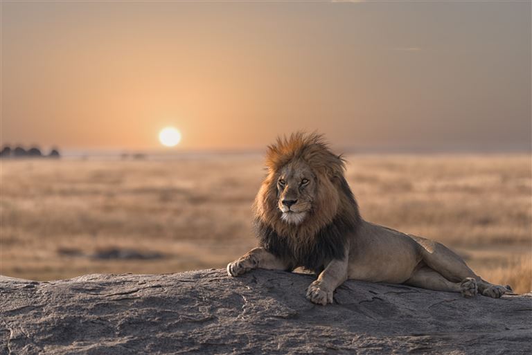 Das Beste von Namibia und Südafrika erleben ©PUTSADA/adobestock